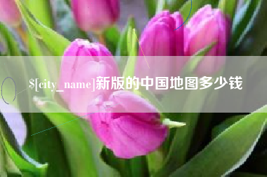 张北新版的中国地图多少钱
