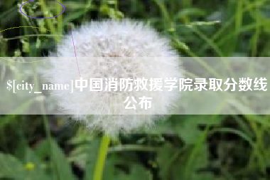 张北中国消防救援学院录取分数线公布