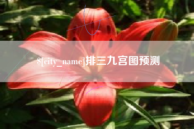 张北排三九宫图预测