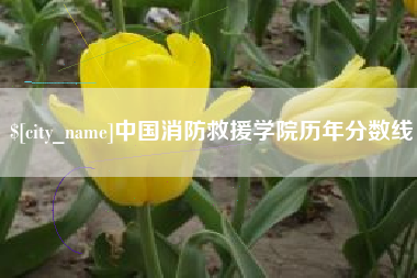 张北中国消防救援学院历年分数线