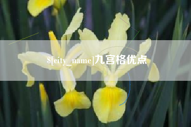 张北九宫格优点