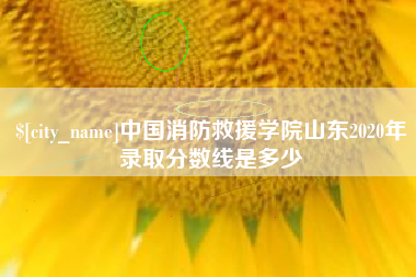 张北中国消防救援学院山东2020年录取分数线是多少