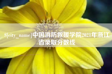 张北中国消防救援学院2021年浙江省录取分数线