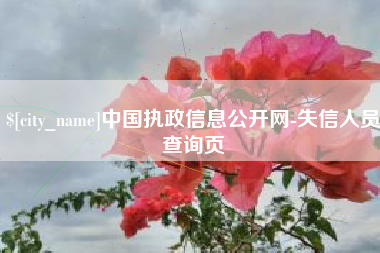 张北中国执政信息公开网-失信人员查询页