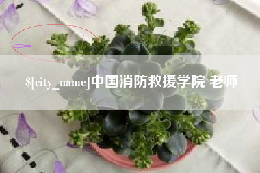 张北中国消防救援学院 老师