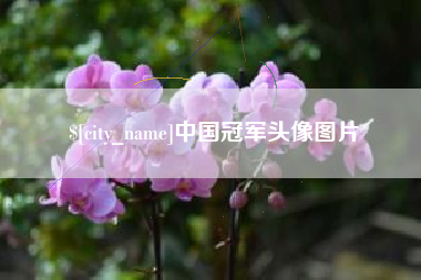 张北中国冠军头像图片