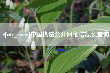 张北中国执法公开网征信怎么查询