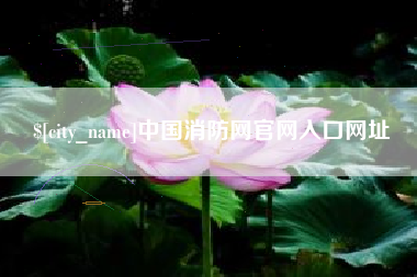 张北中国消防网官网入口网址