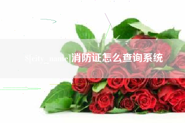 张北消防证怎么查询系统