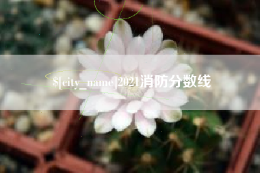 张北2021消防分数线