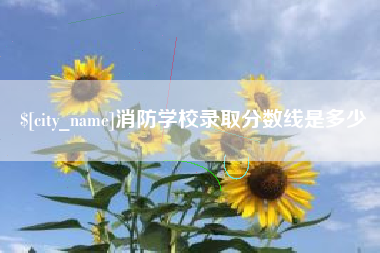 张北消防学校录取分数线是多少