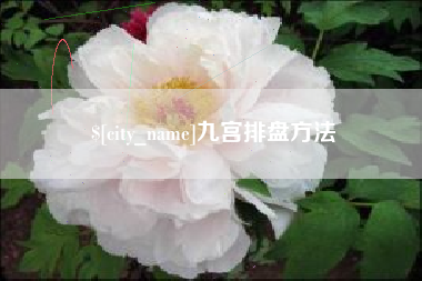 张北九宫排盘方法
