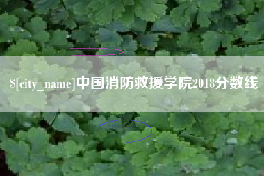 张北中国消防救援学院2018分数线