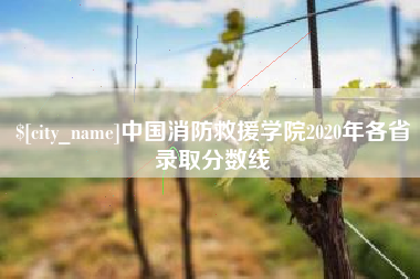 张北中国消防救援学院2020年各省录取分数线