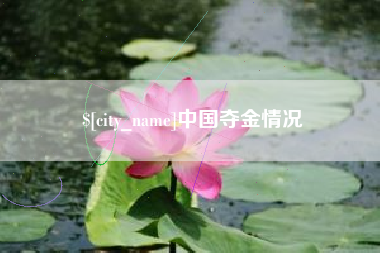 张北中国夺金情况