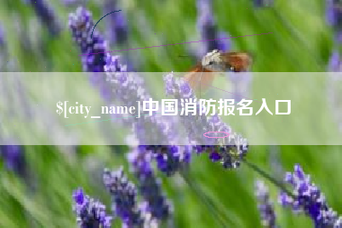 张北中国消防报名入口