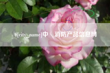 张北中囯消防产品信息网