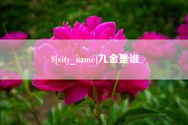 张北九金是谁