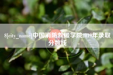 张北中国消防救援学院2019年录取分数线