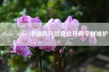 张北中国执行信息公开网平台维护