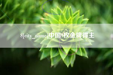 张北中国9枚金牌得主