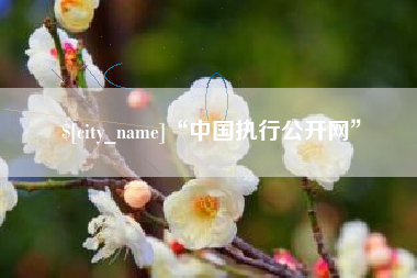 张北“中国执行公开网”