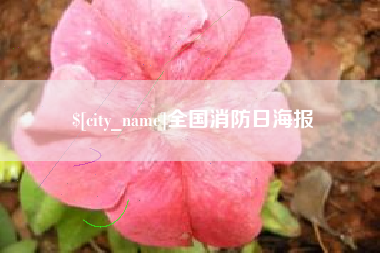 张北全国消防日海报
