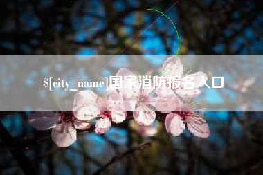 张北国家消防报名入口