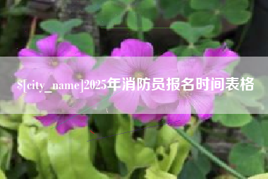 张北2025年消防员报名时间表格