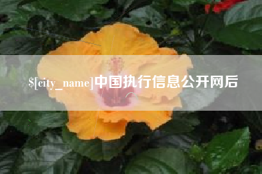 张北中国执行信息公开网后