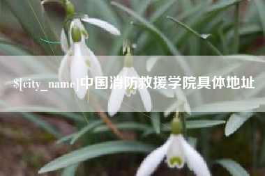 张北中国消防救援学院具体地址