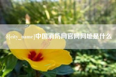 张北中国消防网官网网址是什么