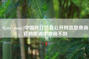 张北中国执行信息公开网信息查询官网限消中查询不到