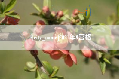 张北2021年9宫格