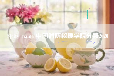 张北中国消防救援学院分数2020