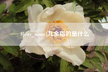 张北九金指的是什么