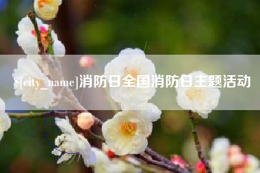 张北消防日全国消防日主题活动