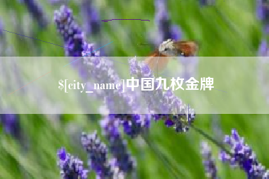 张北中国九枚金牌