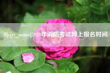 张北2020年消防考试网上报名时间