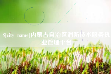 张北内蒙古自治区消防技术服务执业管理平台