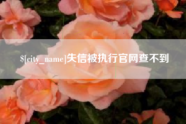 张北失信被执行官网查不到