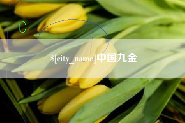 张北中国九金