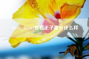 张北看看王子豪长什么样