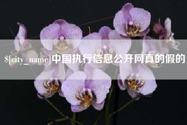 张北中国执行信息公开网真的假的