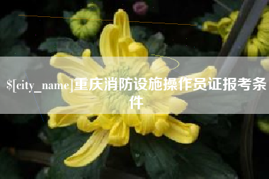 张北重庆消防设施操作员证报考条件