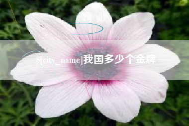 张北我国多少个金牌