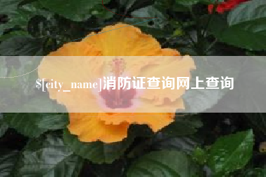 张北消防证查询网上查询