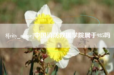 张北中国消防救援学院属于985吗