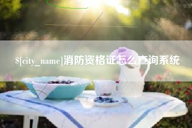 张北消防资格证怎么查询系统
