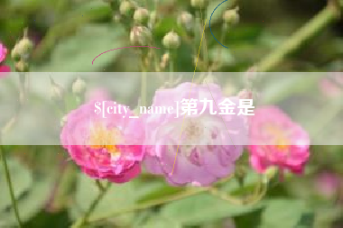 张北第九金是